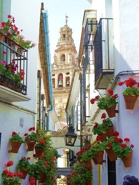 que ver en Córdoba calleja de las flores