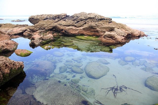 Las mejores calas de la provincia de Cádiz