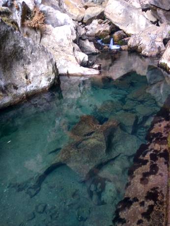 Cueva del Gato Ronda Málaga